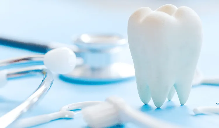 Free Dental Health Program in the United States